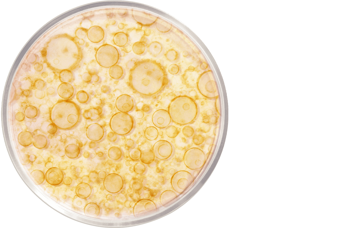 Actif dermocosmétique